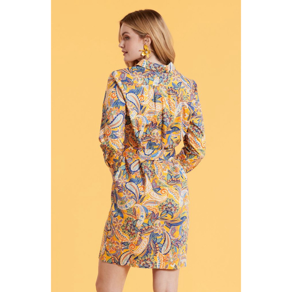 Tyler Boe Ziva Paisley Belted Shirtdres Half Placket Classic Collar - Picture 5 of 14